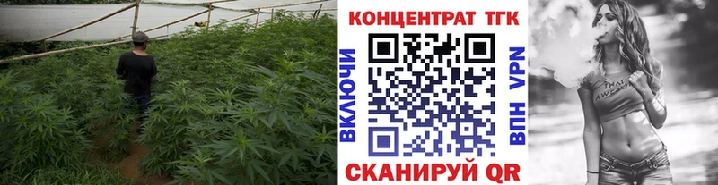 Дистиллят ТГК концентрат Поворино