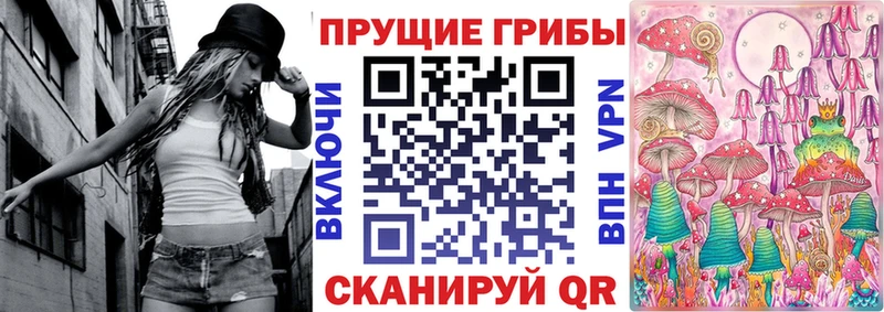 Псилоцибиновые грибы Cubensis  где купить наркотик  Поворино 